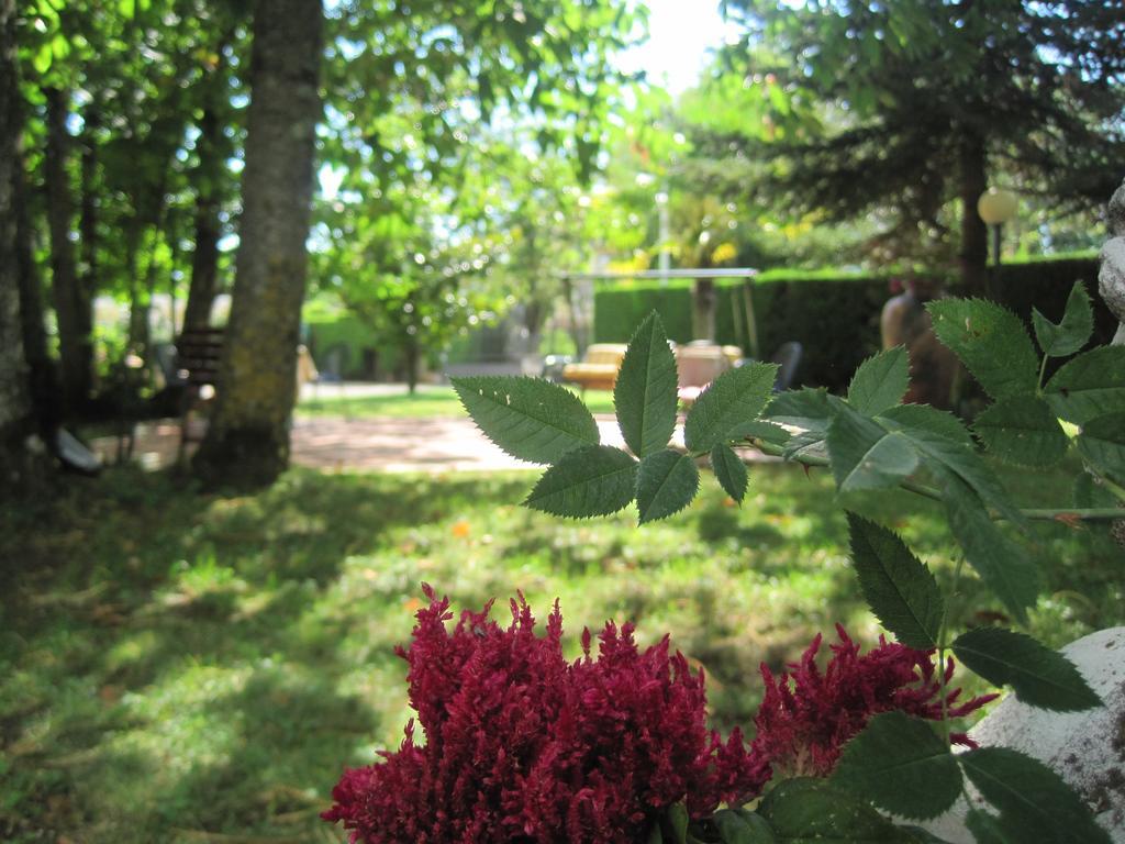 Hotel Gioia Garden Fiuggi Luaran gambar
